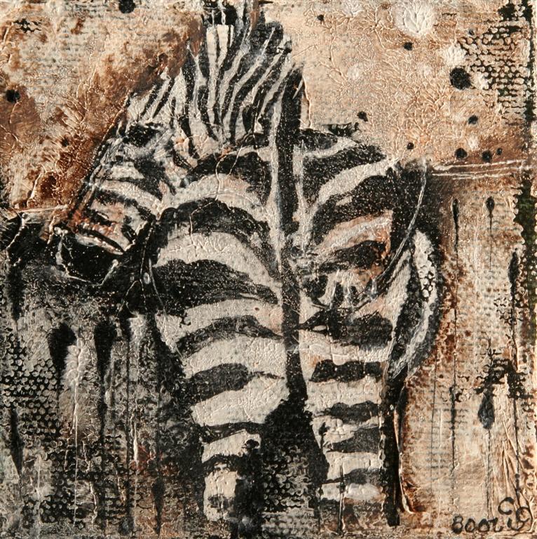 zebra10x10cm