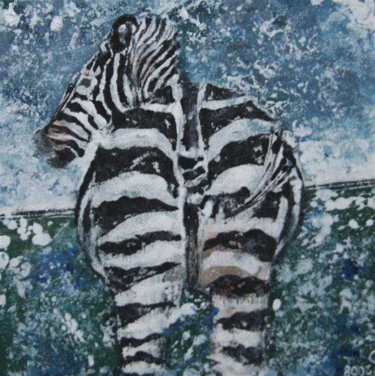 zebrasbum20x20cm