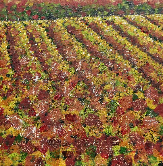 Vignes