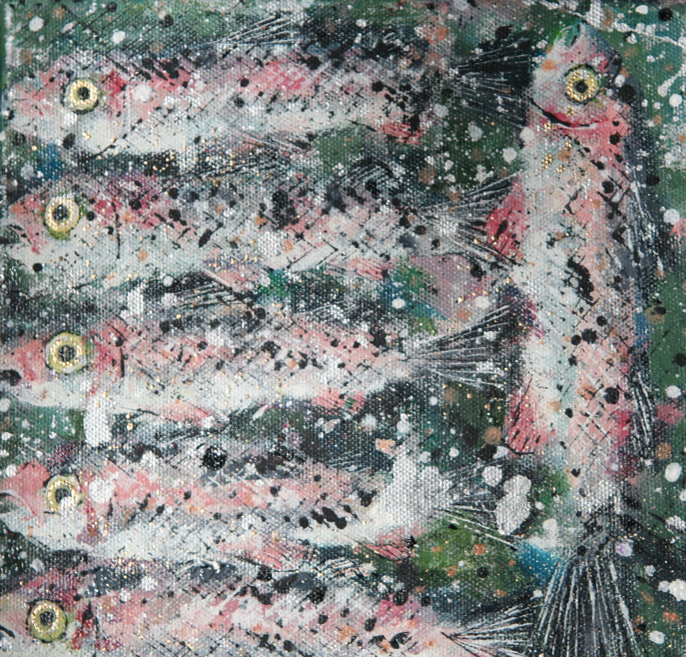 salmon_in_a_box